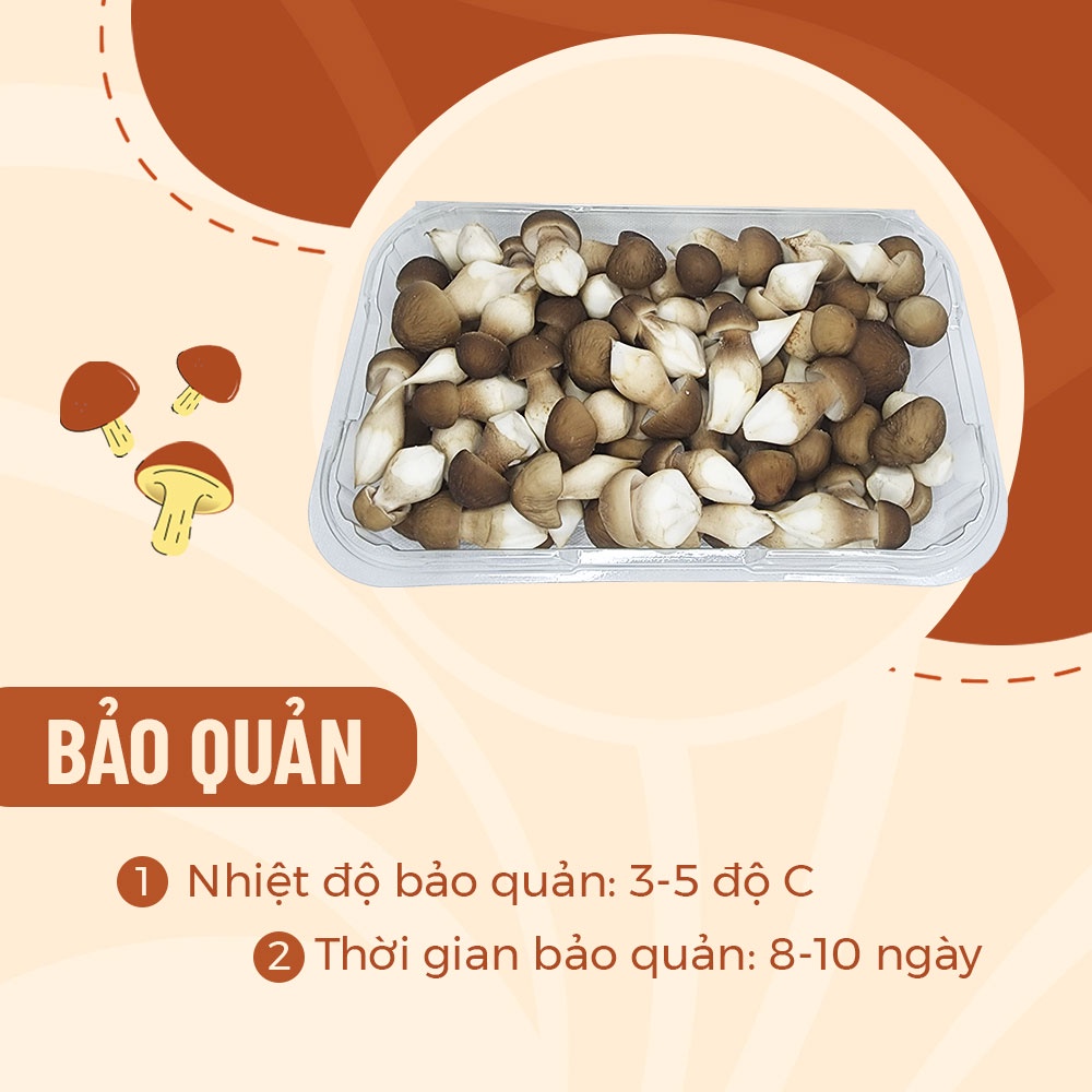 [HCM] Nấm Mối Đen Baby Tươi (100gr 200gr 500gr) Loại Nhỏ Sạch Đã Gọt Gốc - Nông Trại Nấm Xanh