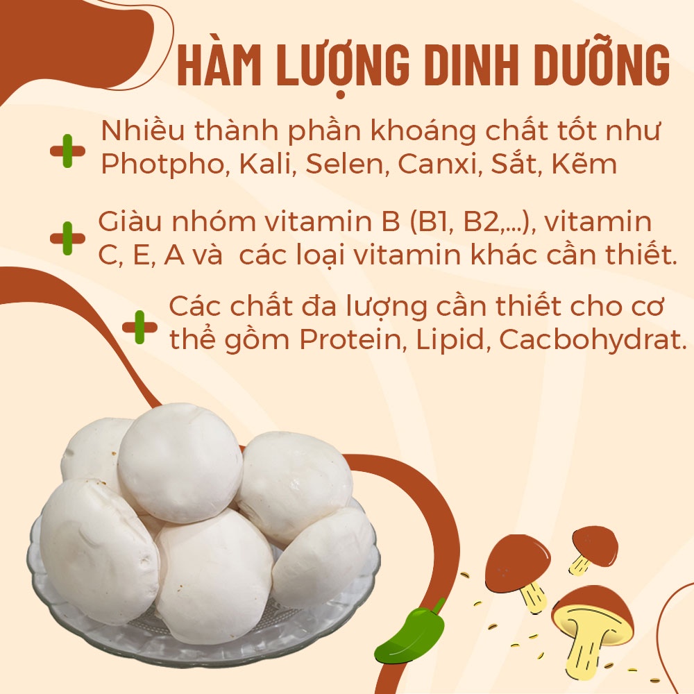 [HCM] Nấm Hoàng Đế Tươi (Milky) Ngon Sạch Loại To 100gr 200gr 500gr - Nông Trại Nấm Xanh