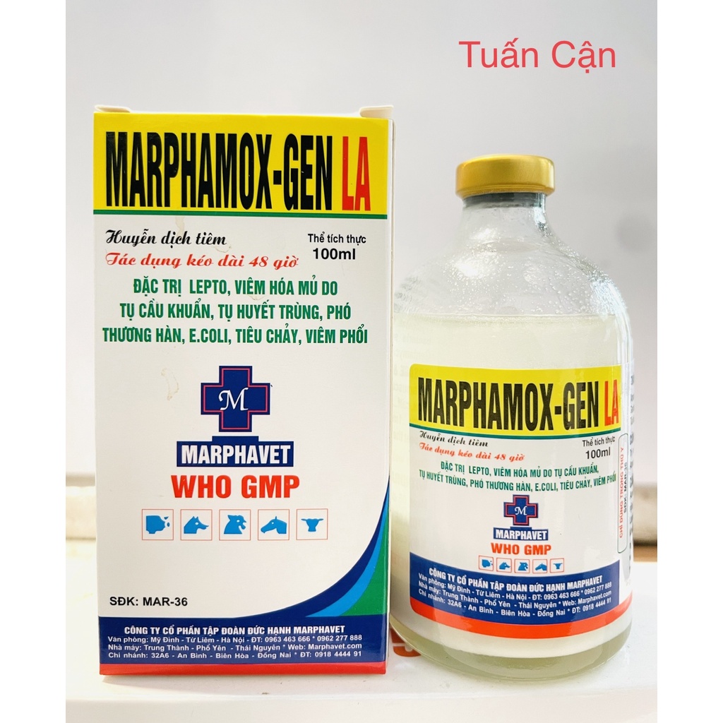 Marphamox Gen LA(20ml- 100ml) Sản phẩm tốt của công ty Marpha