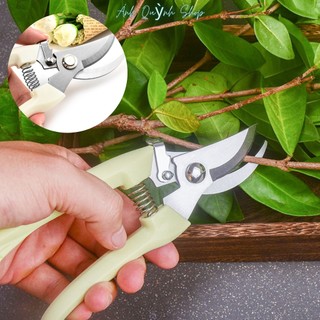 Kéo cắt cành chuyên dụng, Kéo cắt tỉa cành cây, Kéo cắt cành cán nhựa trắng, kéo cắt cành không gỉ