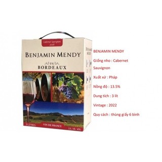 Vang bịch Pháp Benjamin Mendy