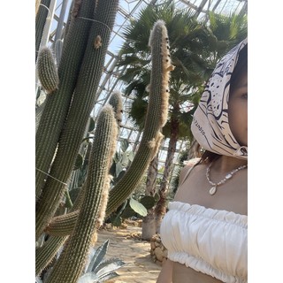 Khăn bandana Girl In Shell