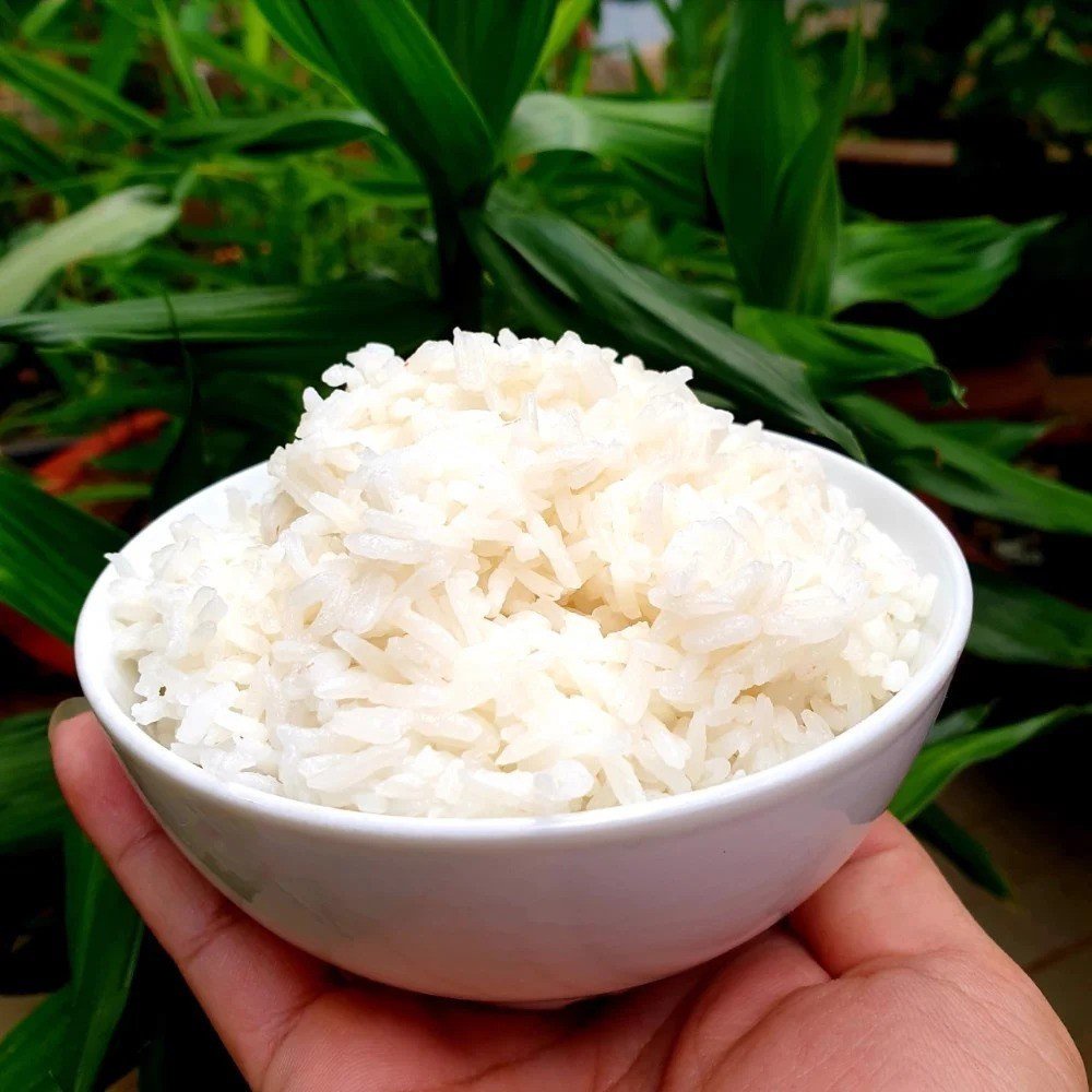 Gạo Hữu Cơ Ong Biển nhãn Dr.Efil loại 5kg - Hàng Chính Hãng