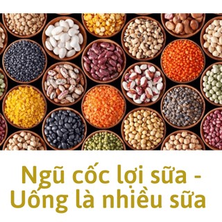 Ngũ Cốc Lợi Sữa - 1Kg - Ngũ cốc dinh dưỡng, lợi sữa, sữa về nhiều và đặc sau 1 - 2 liệu trình
