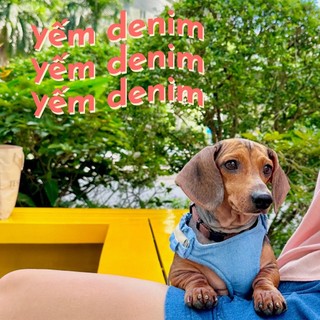 Yếm jeans kèm dây dắt cho chó mèo