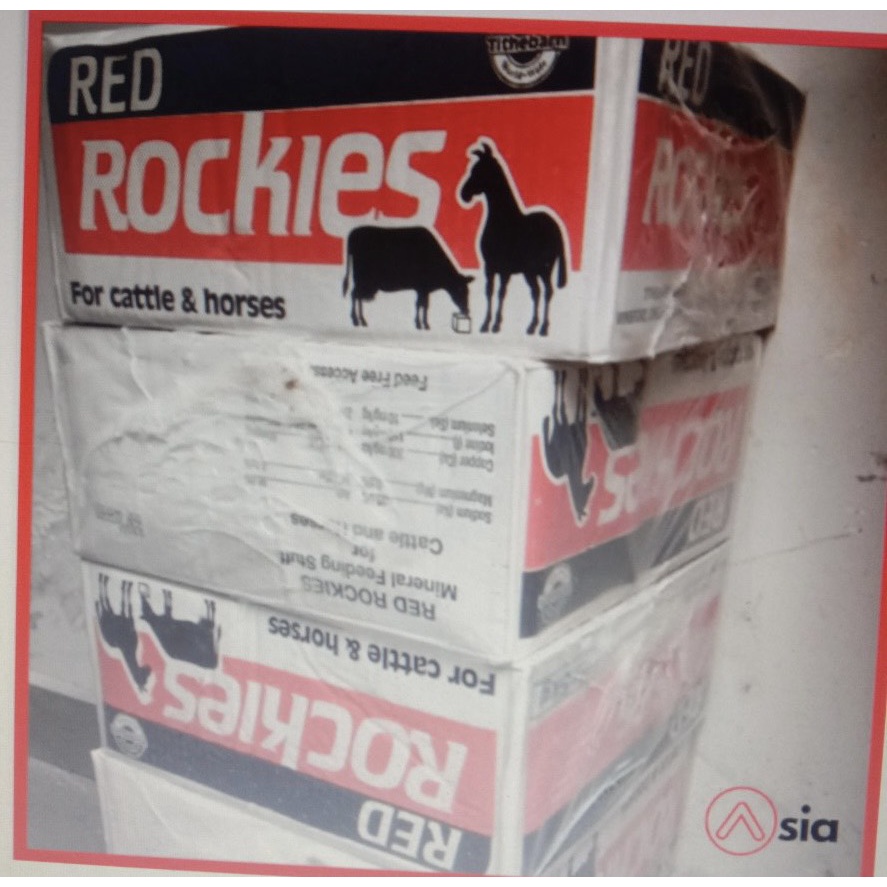 ĐÁ LIẾM CHO BÒ ROCKIES BỔ SUNG KHOÁNG CHẤT VÀ VITAMIN