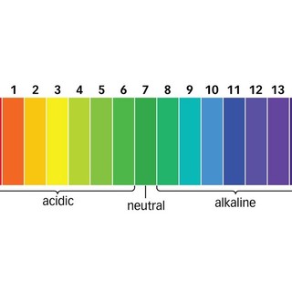 Giấy quỳ tím đo độ PH Viethealthy