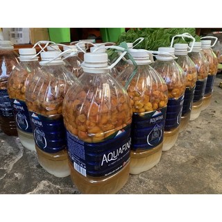 Mơ ngâm đường 1kg