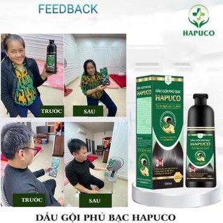 DẦu gội phủ bạc Hapuco 500ml MÀU ĐEN (Mẫu mới Pucoliza)