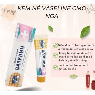 Tuýp Dưỡng Môi VASELINE Nga
