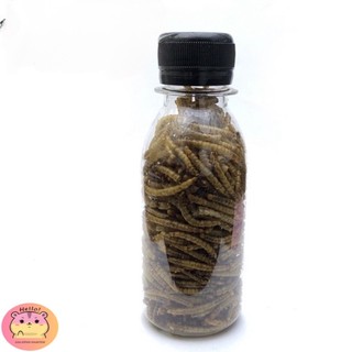 Combo thức ăn hamster 01 - Gia Đình Hamster