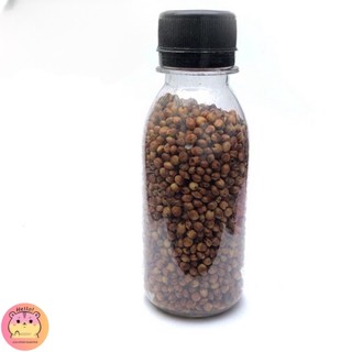 Combo thức ăn hamster 01 - Gia Đình Hamster