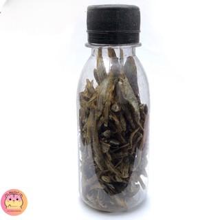 Combo thức ăn hamster 01 - Gia Đình Hamster
