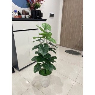 Cây giả, Cây lá rùa monstera cao 1M decor trang trí nhà cửa, homestay, nhà hàng