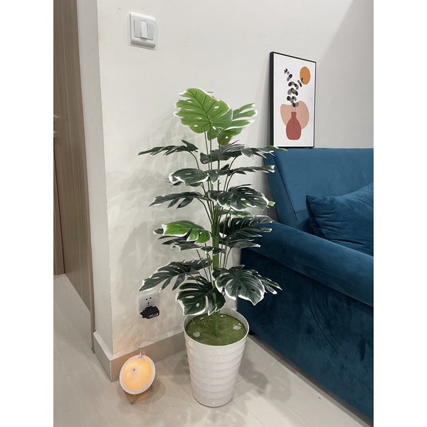 Cây giả, Cây lá rùa monstera cao 1M decor trang trí nhà cửa, homestay, nhà hàng