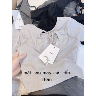 SET BỘ GÂN BUỘC DÂY LƯNG SAU