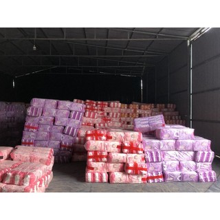 TÃ BỈM MOMO DIAMOND HOA ANH ĐÀO