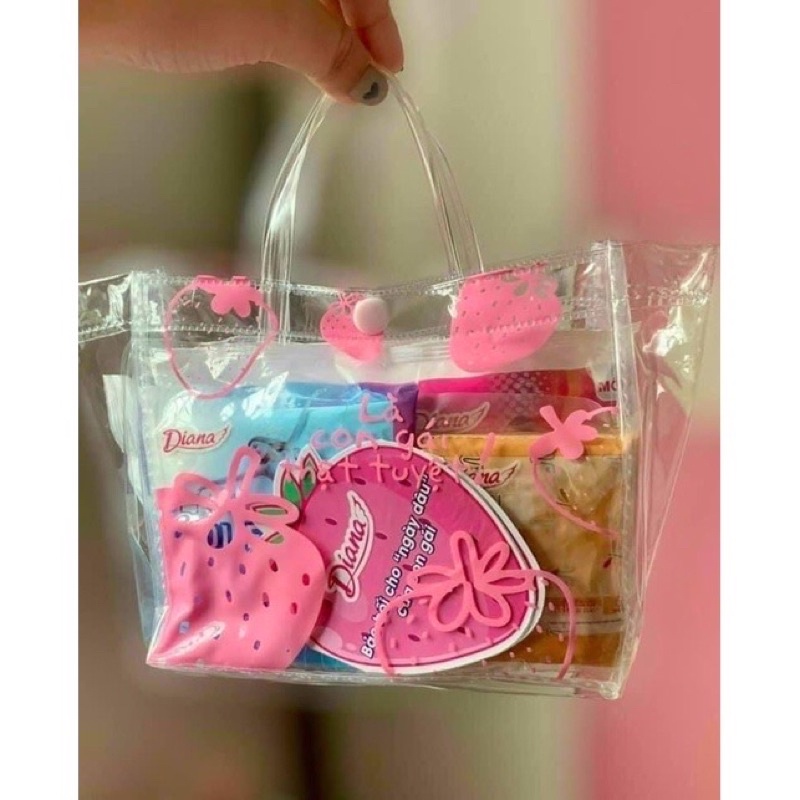 Túi Băng Vệ Sinh Dùng Thử Diana 16 Miếng