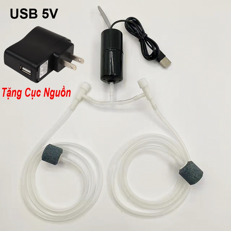 Máy Bơm Oxy Cho Bể Cá Cổng USB 5V Có 2 Đầu Thổi oxy (Tặng Cục Nguồn)