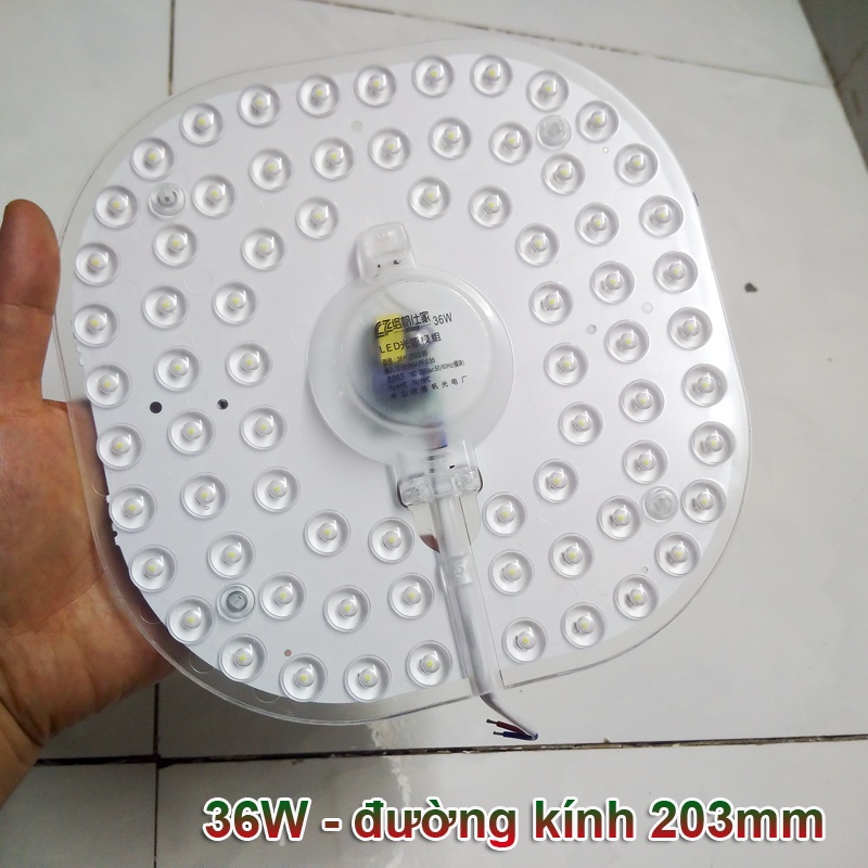 Đèn đĩa 12w24w36w LUOFAN Sáng trắng - Thay thế đèn compact, ốp tường trần nhà mọi vị trí