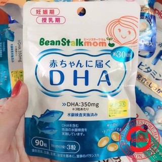 Dha bầu BeanStalk Nhật Bản