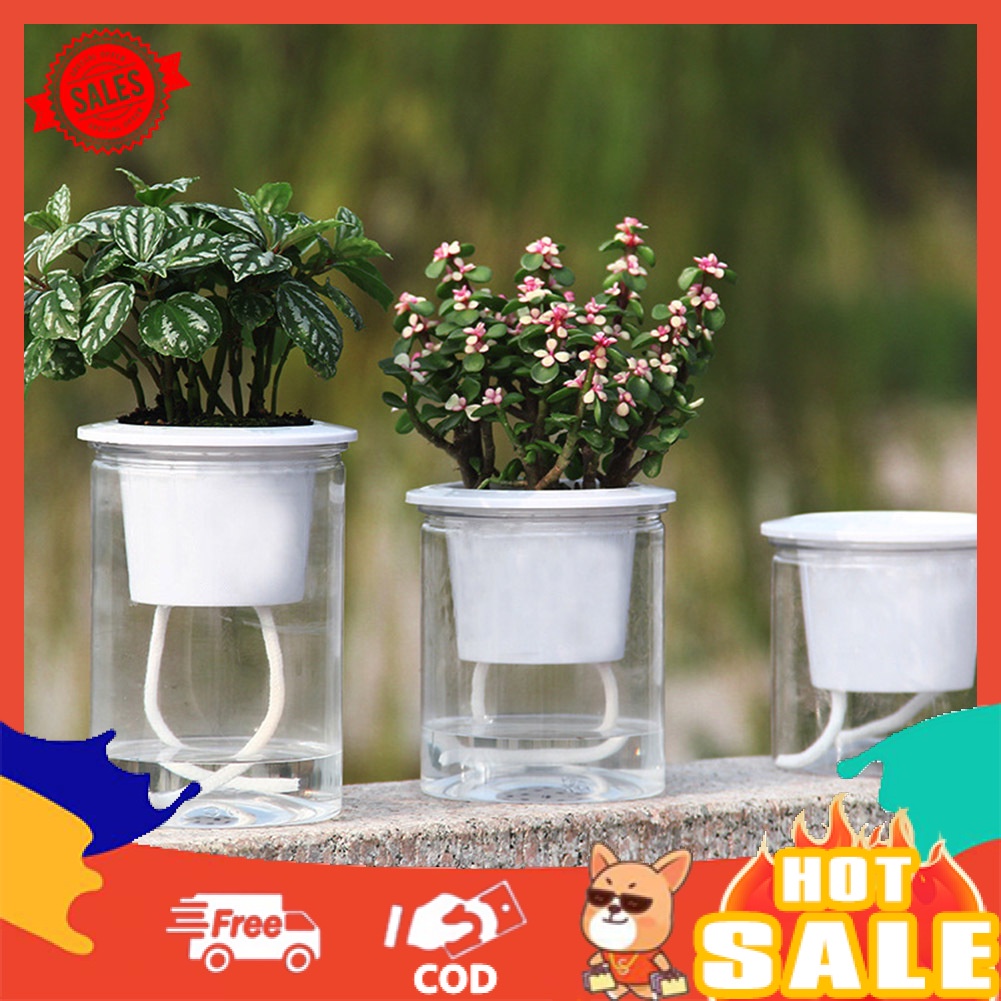 Chậu Trồng Cây Hấp Thụ Nước Tự Động Bằng Nhựa Resin