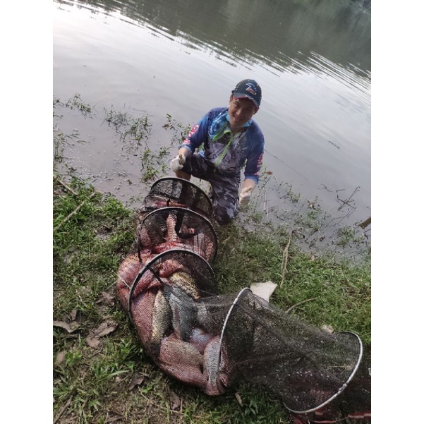 Combo bộ mồi rô phi Lão Quỷ