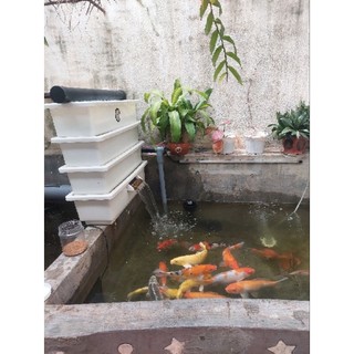 Bộ hút mặt hút đáy hồ cá koi (Bộ hút mặt & Đáy)