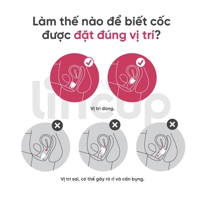 Cốc Nguyệt San Lincup - Hàng Chính Hãng ( Hoa Kỳ )