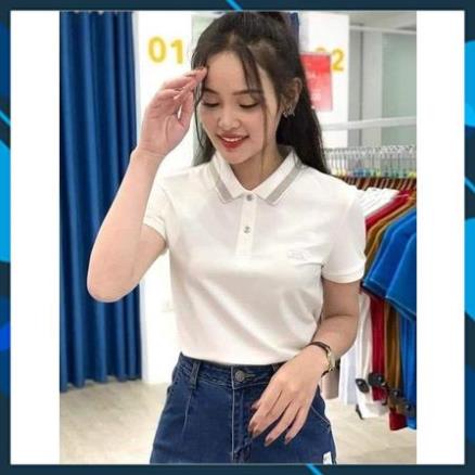 Áo polo nữ Yody phông cộc tay có cổ đẹp thơi trang nhiều màu vải thoáng mát mềm mịn chuẩn from luxyry