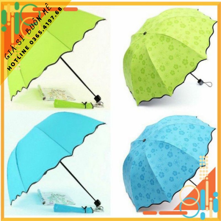 DÙ CHE NẮNG MIỄN PHÍ GIAO HÀNG DÙ CHE MƯA MA THUẬT NỞ HOA KHI GẶP NƯỚC CHE MƯA NẮNG CHỐNG TIA UV CAO CẤP