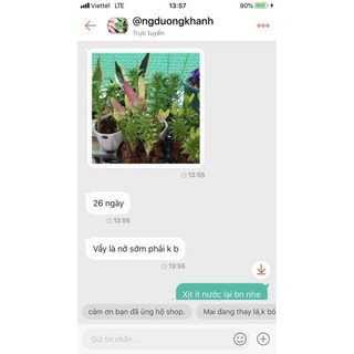 củ ly lùn trồng hơn 1 tháng có hoa (có 7 màu)