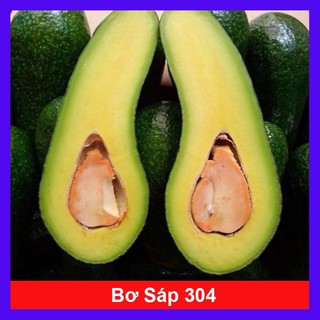 Cây bơ sáp 034 siêu quả - cho trái sớm - caykiengsadec