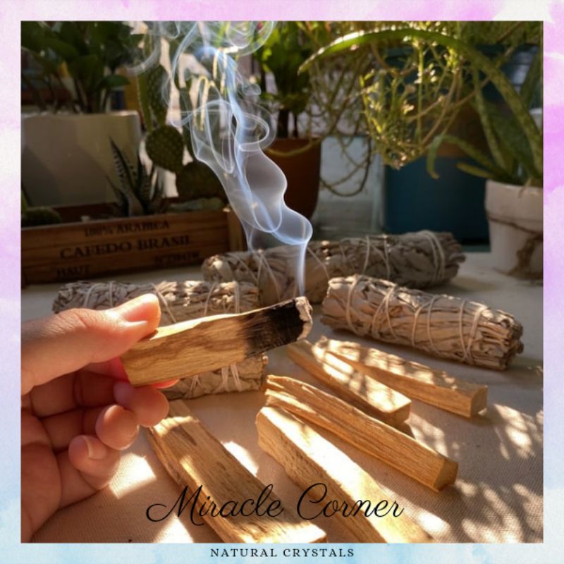 Palo Santo (Gỗ trắc xanh)