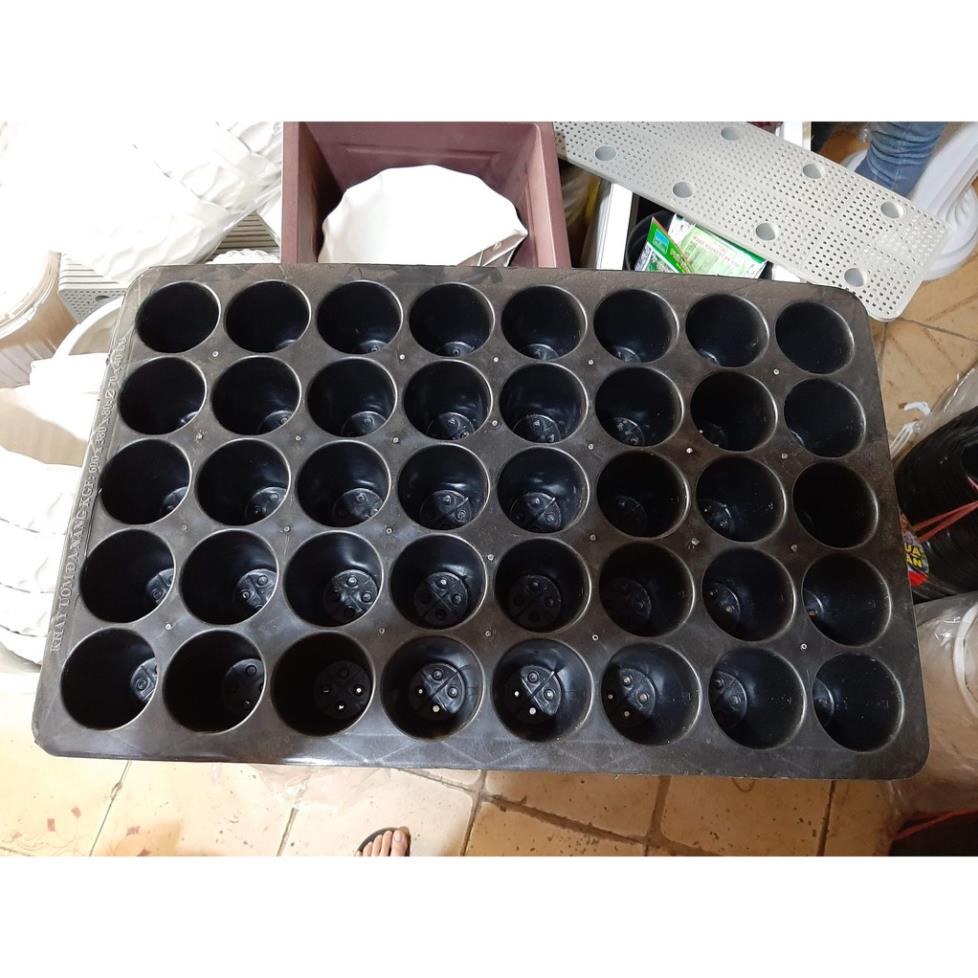 Vỉ ươm cây giống 40 lỗ