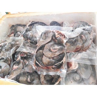 Đèn pha đại dương-mắt cá ngừ đại dương gói 1kg