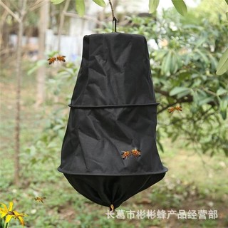 Túi bắt ong chia đàn