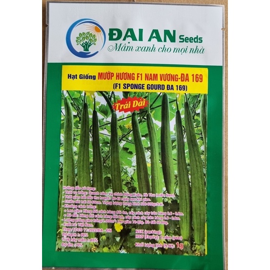 HẠT GIỐNG MƯỚP HƯƠNG TRÁI DÀI, SIÊU THƠM, TỈ LỆ NẢY MẦM RẤT CAO, SIÊU TRÁI, NĂNG SUẤT CAO