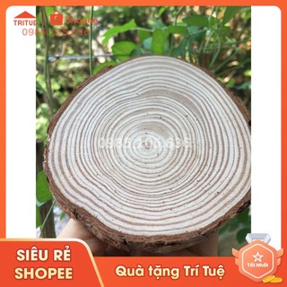 Cơ sở chuyên sản xuất lót ly gỗ tự nhiên tại Hà Nội, miếng lót cốc đẹp sang trọng hàng có sẵn sll lớn