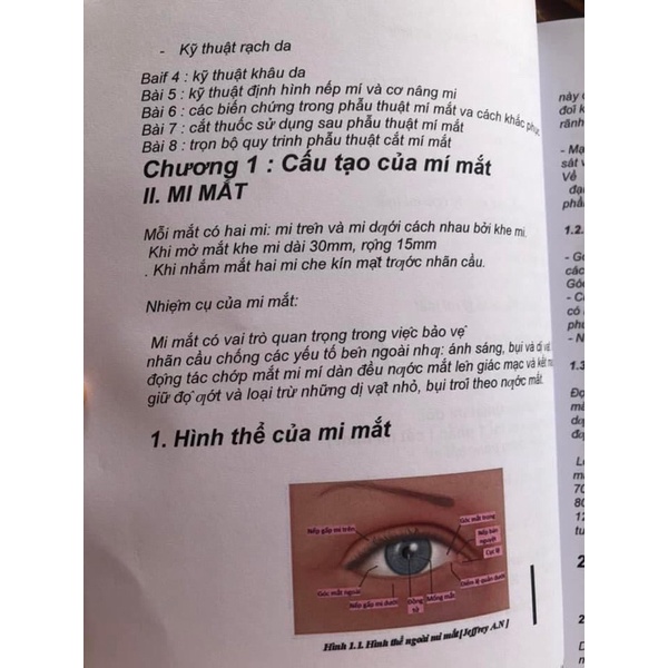 ✅ Giáo Trình - Cắt Mí Mini
