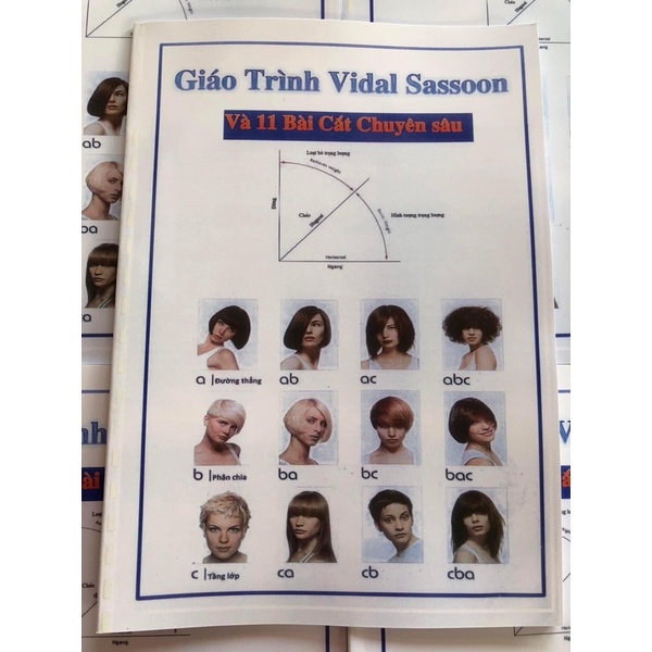 Giáo Trình - Cắt Tóc Abc Vidailsassoon