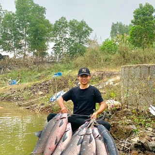 Thính câu cá LK Hoà - Câu Lancer, Lục, Đơn, Đài Siêu Nhạy
