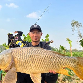Thính câu cá LK Hoà - Câu Lancer, Lục, Đơn, Đài Siêu Nhạy