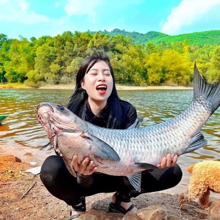 Thính câu cá LK Hoà - Câu Lancer, Lục, Đơn, Đài Siêu Nhạy