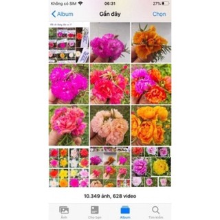 1 bó hoa 10 giờ kép mỹ
