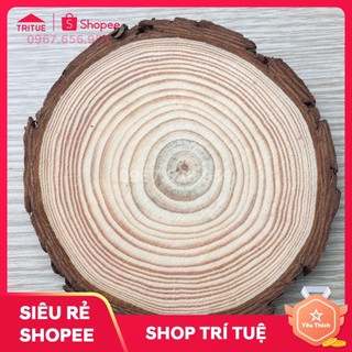 Miếng lót cốc gỗ tự nhiên rẻ, Mua lót cốc gỗ giá rẻ, Đế lót cốc gỗ, đế lót ly gỗ tự nhiên