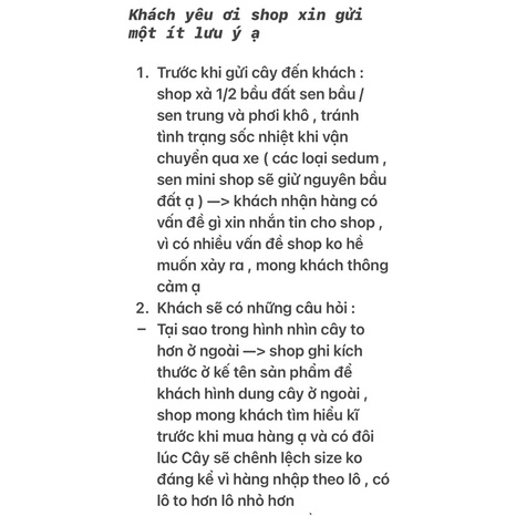 Sen Đá Vuốt Kim Cương Mini