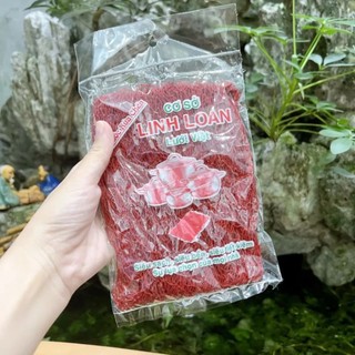 COMBO 2 Lưới rửa chén To siêu sạch - miếng rửa bát , đĩa