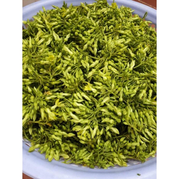 BÔNG THIÊN LÝ SẤY