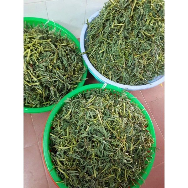 RAU NHÚT SẤY XUẤT KHẨU